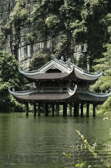 单机版森林舞会-单机版森林舞会，一场静谧的森林冒险