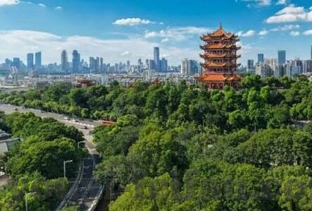 开云体育平台官方电话-破解信息迷雾，解析开云体育平台官方电话重要性